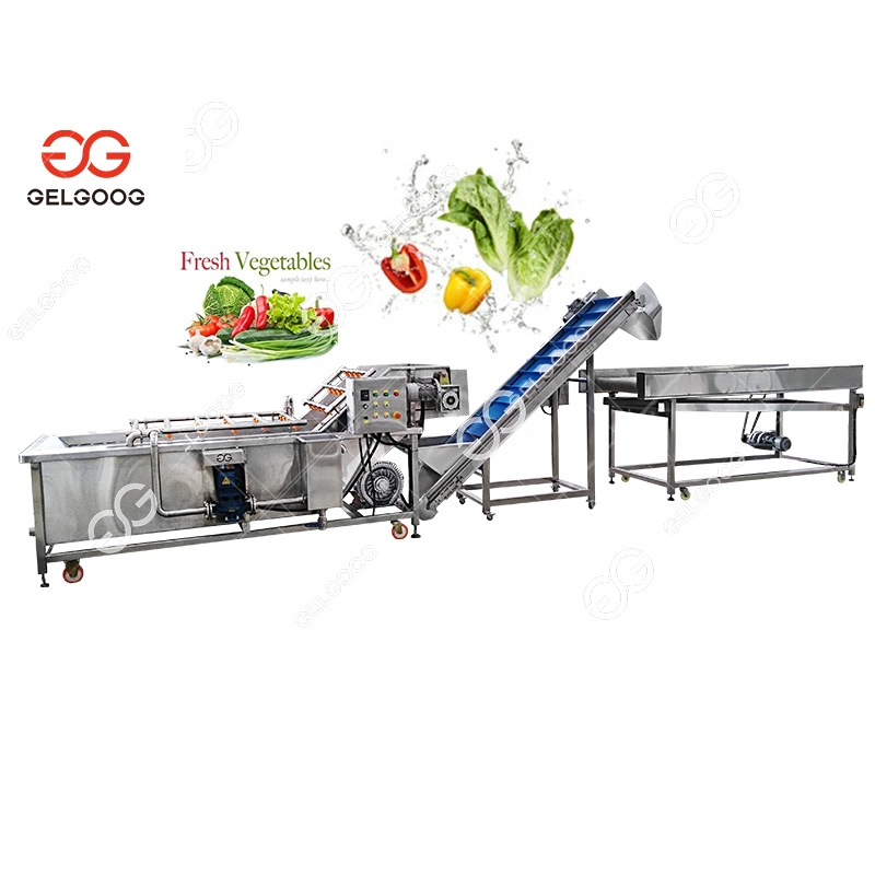 Industrial Automatic Food Processor Fruit Vegetable Ozone Bubble Date Washing Machine