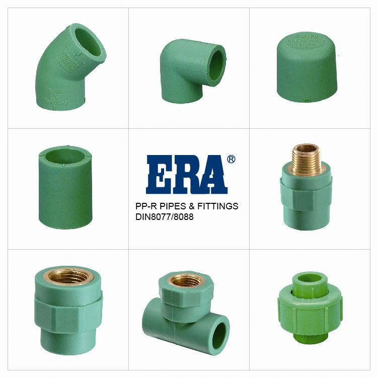 High quality/High cost performance  Era Piping Systems Plastic/PPR Pressure Pipe Standard DIN8077/8088 with II Female Thread Tee