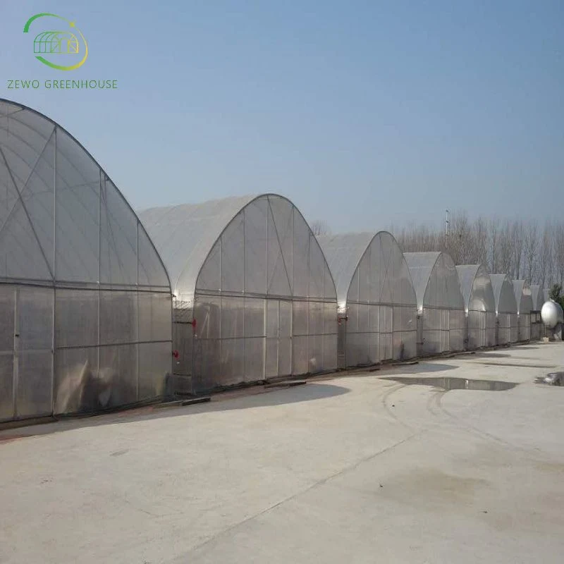 Hot Sale High-Quality Single Span Commercial Tunnel Plastic Film Greenhouse for Sale