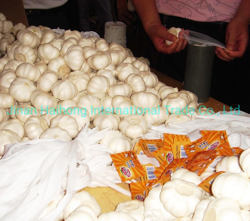 Fresh Crop Top Grade Normal White Garlic in Mesh-Bag