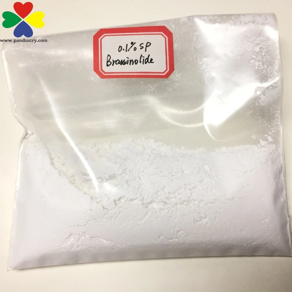 Plant Growth Regulator Brassinolide 01sp Use in Agriculture