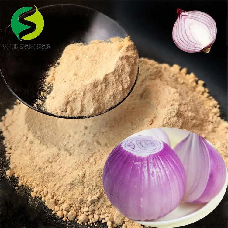 Prevent High Cholesterol New Crop Dehydrated White Onion Powder Manufacturer