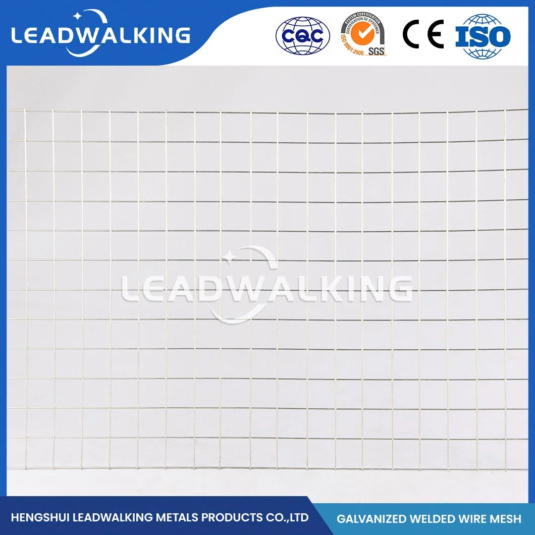 Leadwalking Anti Corrosion PVC Welded Wire Mesh Manufacturers Sample Available Construction Galvanized Welded Mesh China Galvanized Welded Steel Wire Mesh