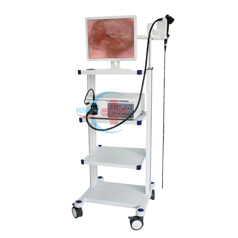 HC-R066 Veterinary Fleciblel Endoscope System for Samall Animals with 15 Inch LCD Monitor