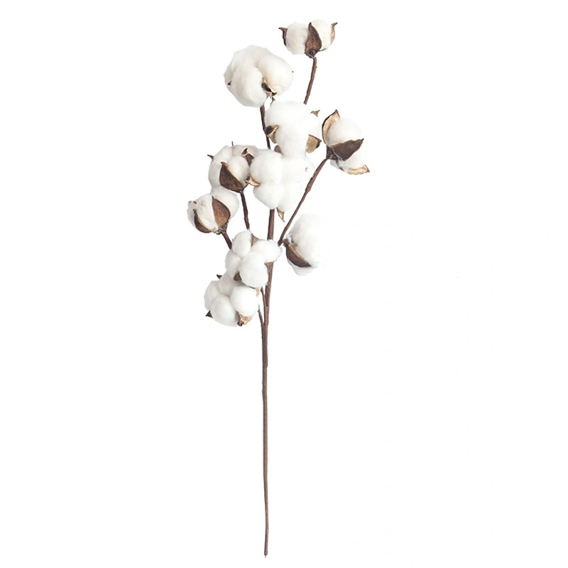 Handmade Natural Cotton Branches Dried Flowers Cotton Stems DIY Artificial Flowers