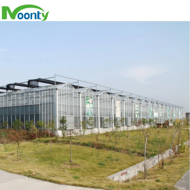 Intelligent High quality/High cost performance Agricultural Glass Greenhouse with Auto Control System