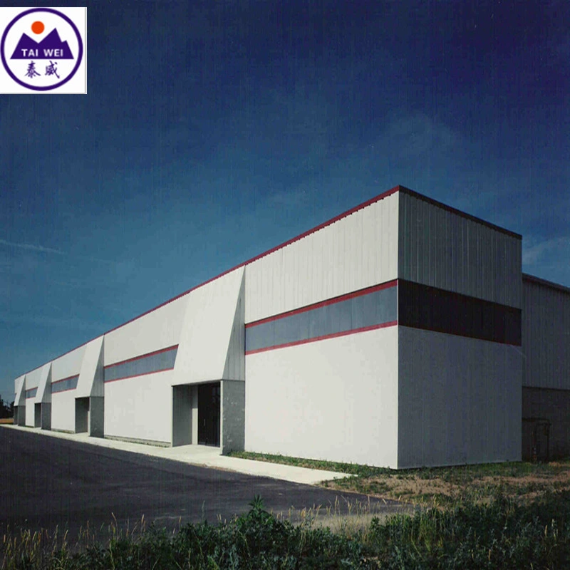 Prefabricated Large Steel Structure Metal Frame Industrial Commercial Building (TW604J)