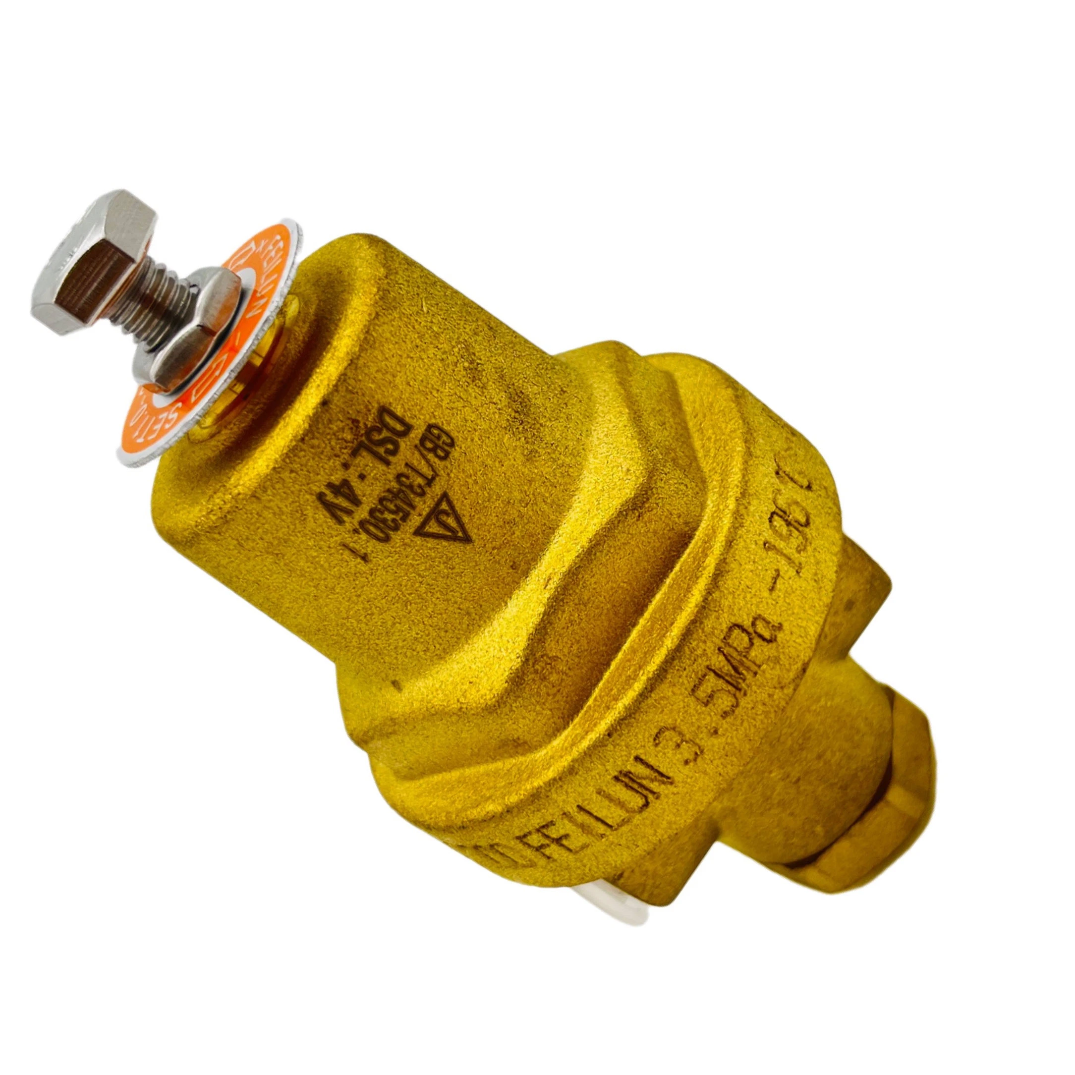 Feilun Dyz-06c Brass Low Temperature Cryogenic Combination Pressure Regulator