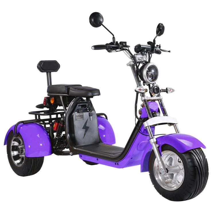 Holland Warehouse Adult 2000W 60V 40ah 20ah Removable Battery EEC Coc Citycoco Tricycle 3 Wheel Electric Scooter