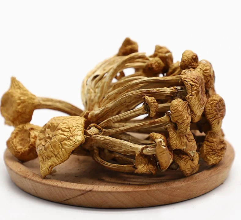 Dried Nameko Mushroom Dried Pholiota Microspora Mushroom for Russian Market