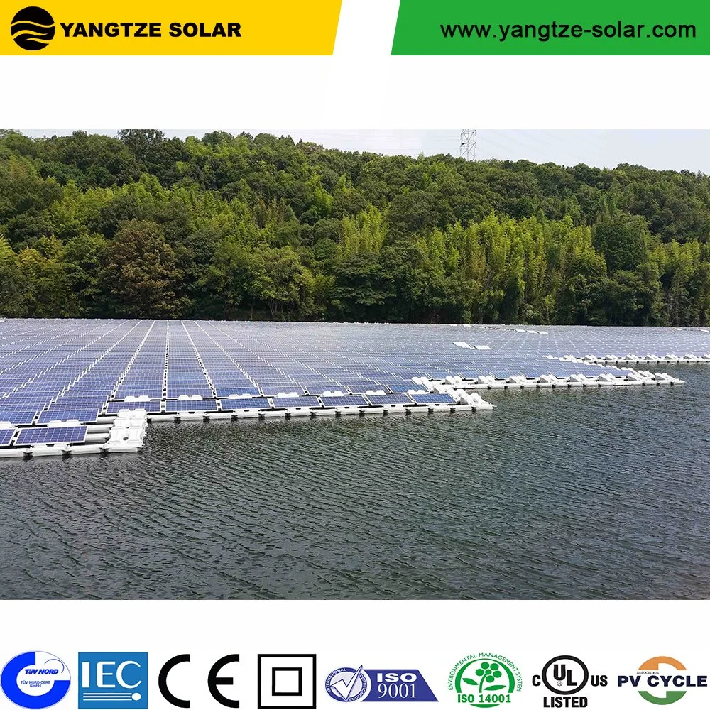 Yangtze Alta eficiencia 60cell Mono Panel Solar 300W 310W 320W 330W Panel Solar para Granja