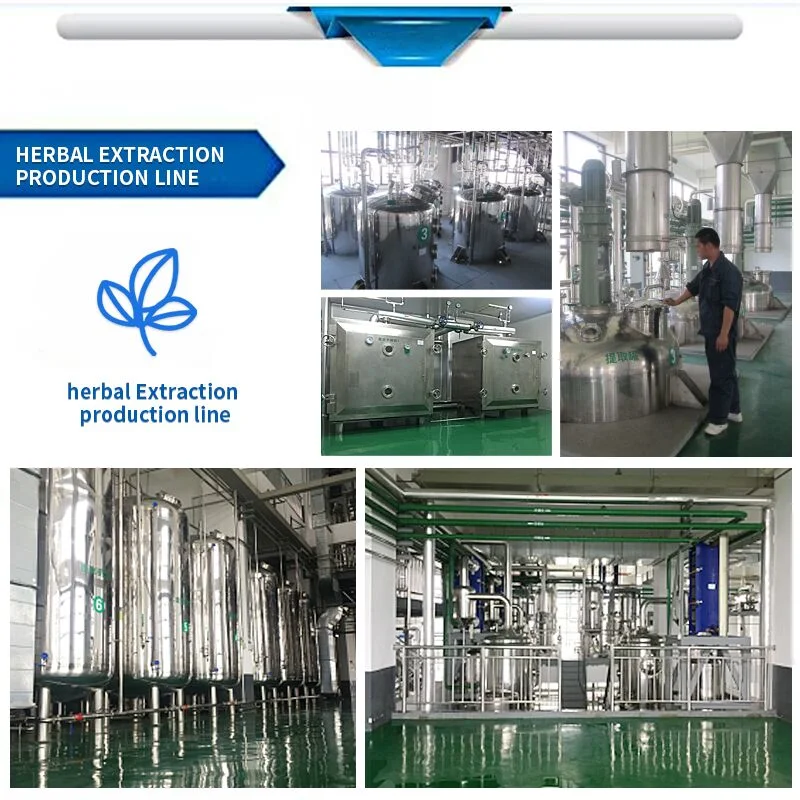 Natural Plant Ginkgo Biloba Extract Powder Manufacturer Supply with Best Price