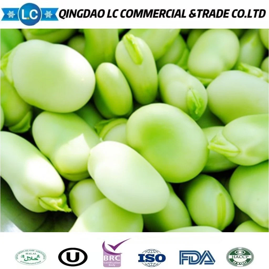 Export Chinese Green Specifications IQF Whole Raw Frozen Split Broad Beans for Sale