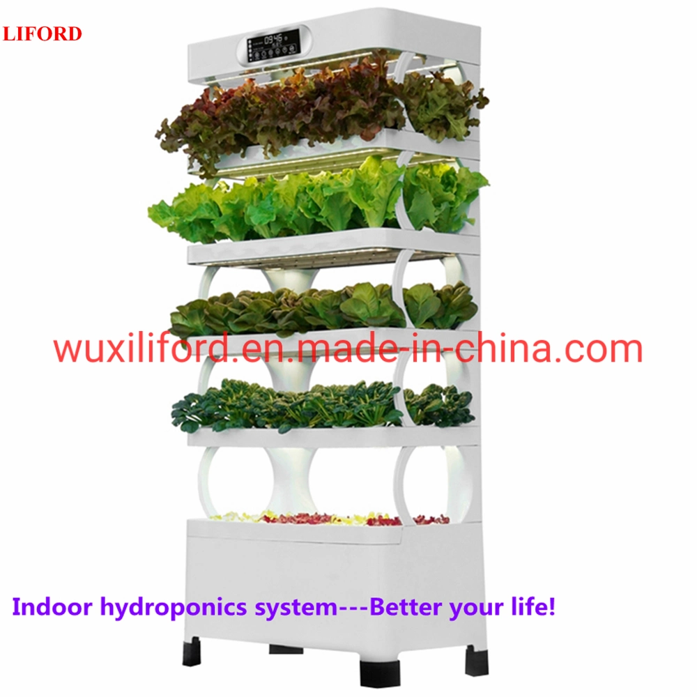 Hydroponics Intelligent Minifarm Soilless Cultivation for Indoor Plant Growth