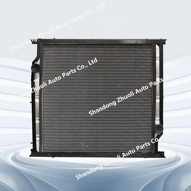 Radiateur d'eau pour système de chauffage dans le ventilateur laser Wg9725530011 Wg9725530120 Radiateur d'ordinateur Beauté machine médicale