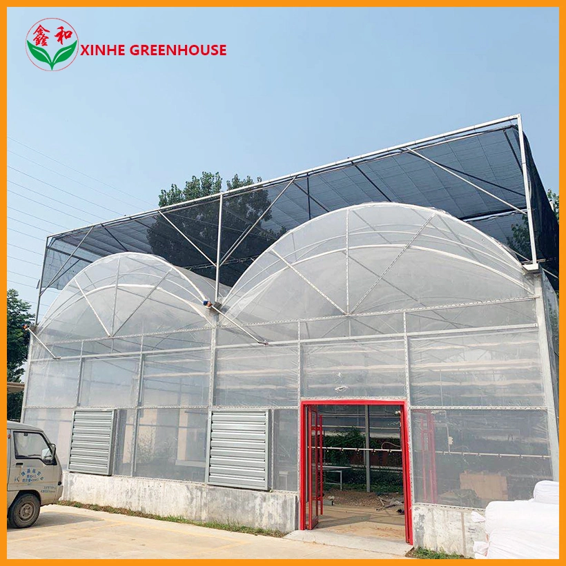 Single Span Plastic Film Covered Tunnel Agricultural Greenhouse for Commercial