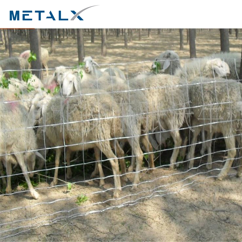 Wholesale/Supplier Hot Sale Cheap Galvanized Sheep Livestock Wire Mesh Rolls Security Farm/Horse Cattle Field Fence for Fixed Knot/Deer/Game