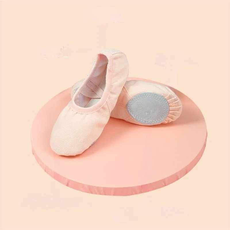 Canvas Training Cat Claw Lace-up Soft Ballet Dance Shoes for Women