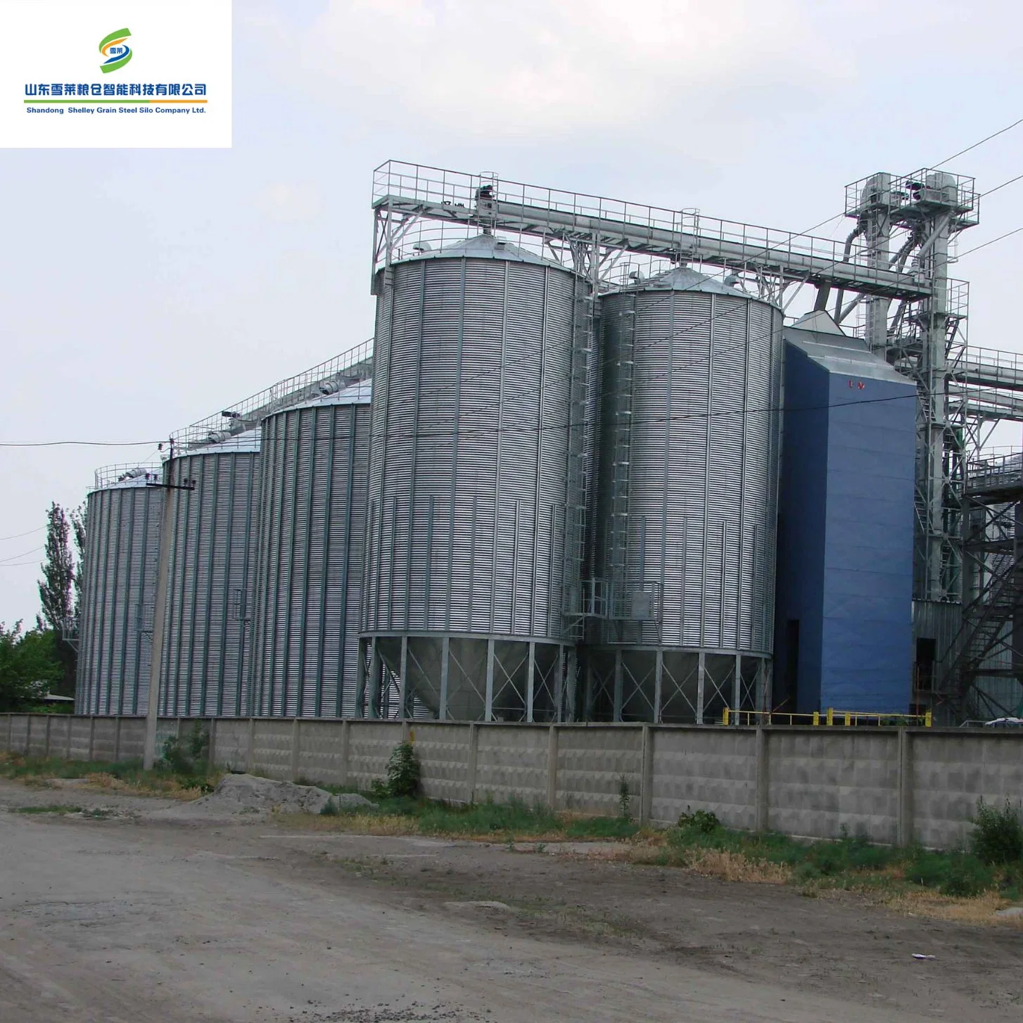 Grande capacidade de saída de fábrica de aço galvanizado Granja Multi-Type exploração suinícola exploração pecuária Silowith Alimentação preço razoável. 500ton Silo de grãos da parte inferior da tremonha