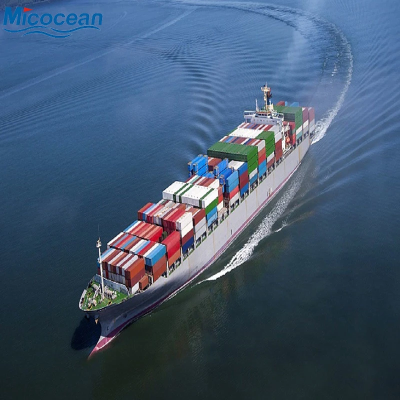 China Professional Ocean Freight Forwarer FCL/LCL Shipping Agent to Australia