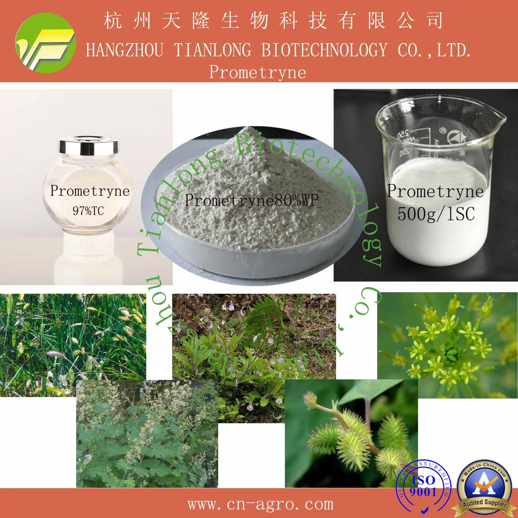 مبيدات الأعشاب Prompetryn 96%TC CAS 7287-19-6