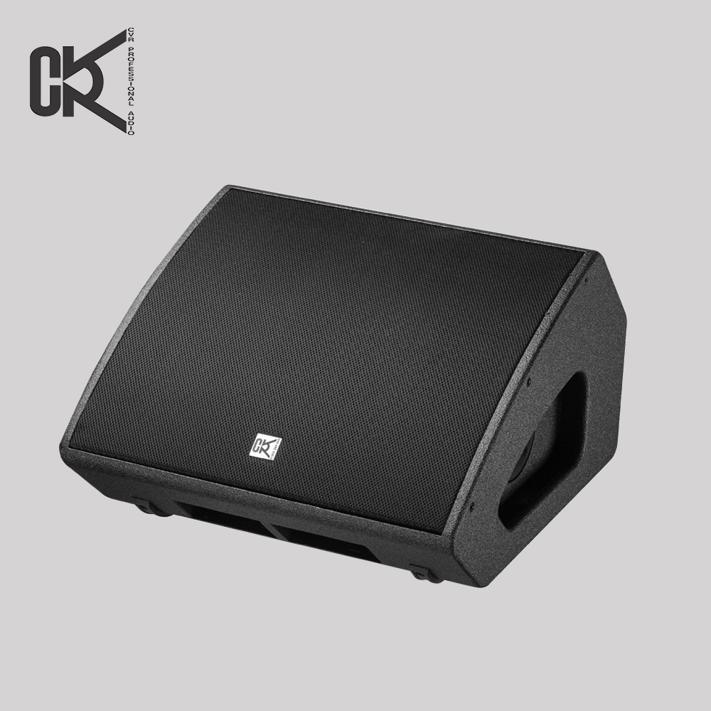 15"Powered Active Two-Way Coaxical Monitor System Loudspeaker for Outdoor