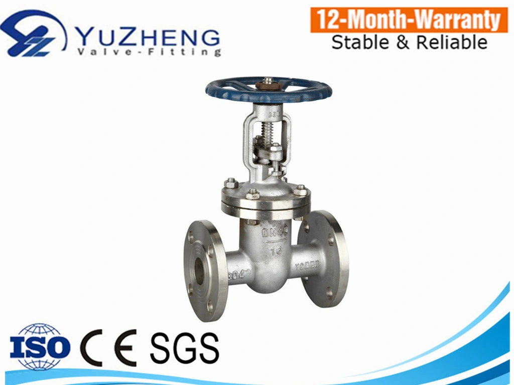 SS304 Stainless Steel Blow-Down Gate Valve for Industrial Use