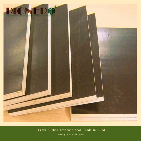 Factory-Directly Sales Film Faced Plywood with Top Quality