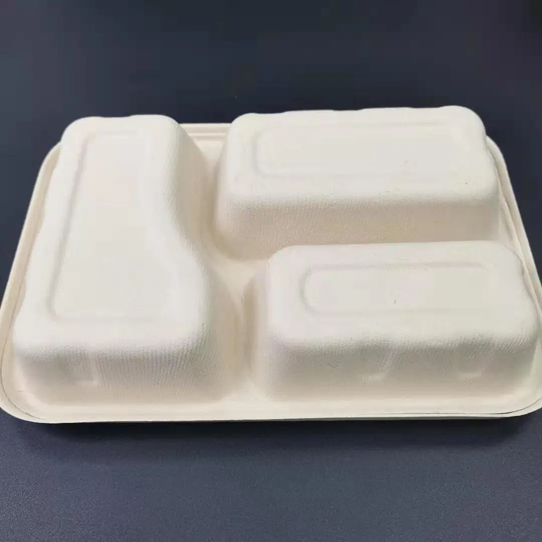 Disposable Eco-Friendly Pulp Burger Bento Cake Dessert Lunch Takeout Packaging Box Container