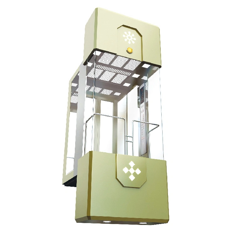 Energy Feedback Technology 8-13 Chryce/OEM Wooden Package China Escalator Lift