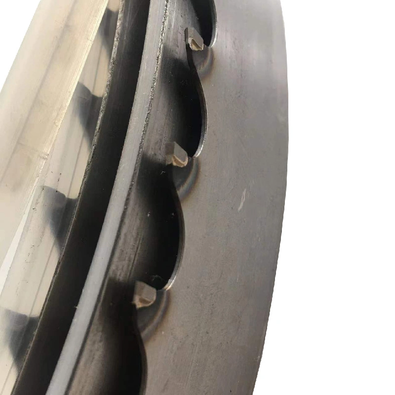 China Factory Alloy Hardwood Cutting Saws Tct Carbide Saw Blade