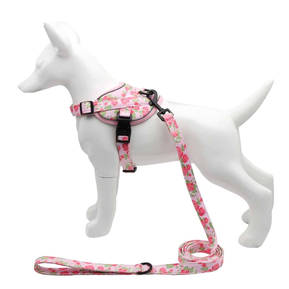 Ropa de mascotas al por mayor Moda nuevos Productos arnés de perro Cote Pet Chaleco para perros pequeños para perros caminantes