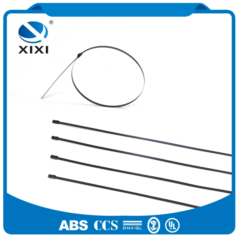 Acero inoxidable con recubrimiento epoxi Bridas Bridas de nylon