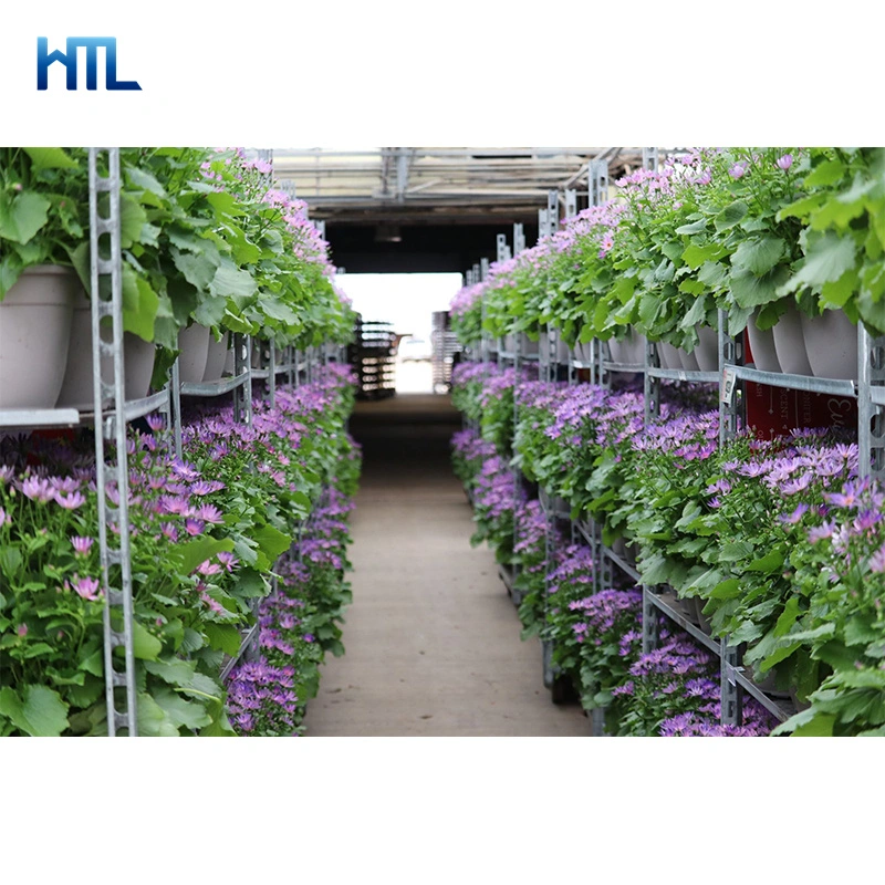 Distribution Centers Propagation Room Danish Plant Greenhouse Flower Nursing Trolley