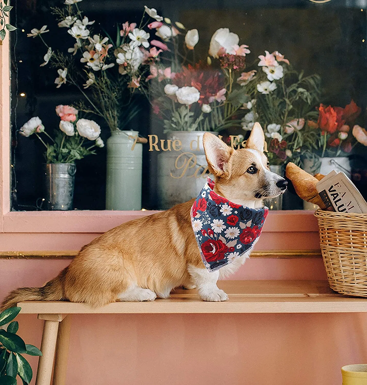 Bandanas pour chiens en coton doux lavable en gros respirant chien pour petit Chiens de taille moyenne grands animaux de compagnie