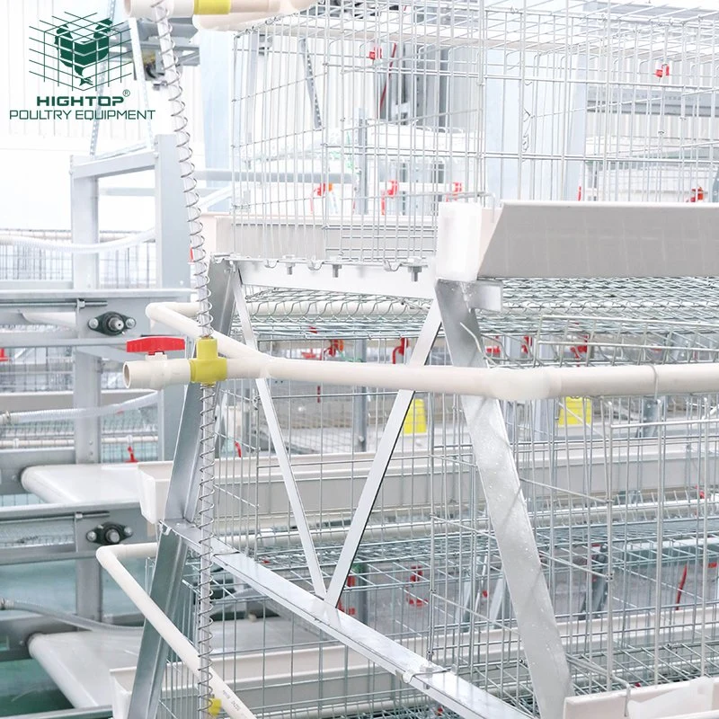 96 Capacity A Type Poultry Farm Hot Dip Galvanized  Chicken Egg Layer Cage In Philippines