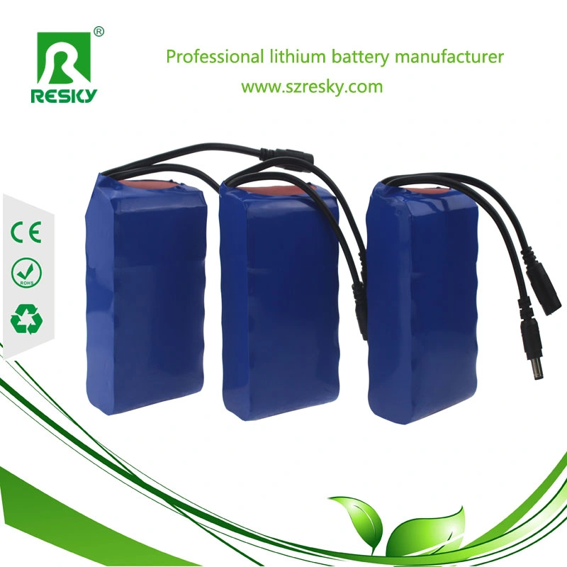 Rechargeable 7.4V 2s 8800ah Lithium Ion Battery Packs for Back up