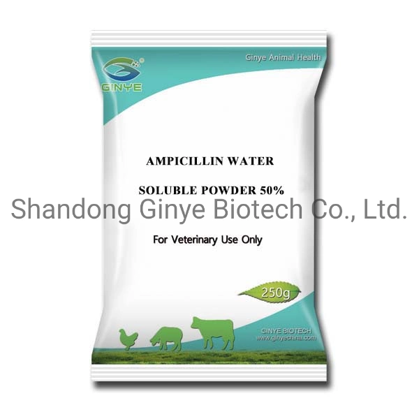 الطب البيطري أمبيسيلين 50 ٪ المياه Soluble Powder Livestock الدواجن الطب