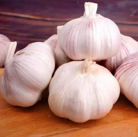 Ajo chino normal Garlic blanco toda la venta