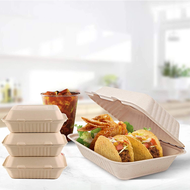 8 Inch Biodegradable Disposable 3 Compartments Clamshell Sugarcane Food Boxes Takeaway Packaging