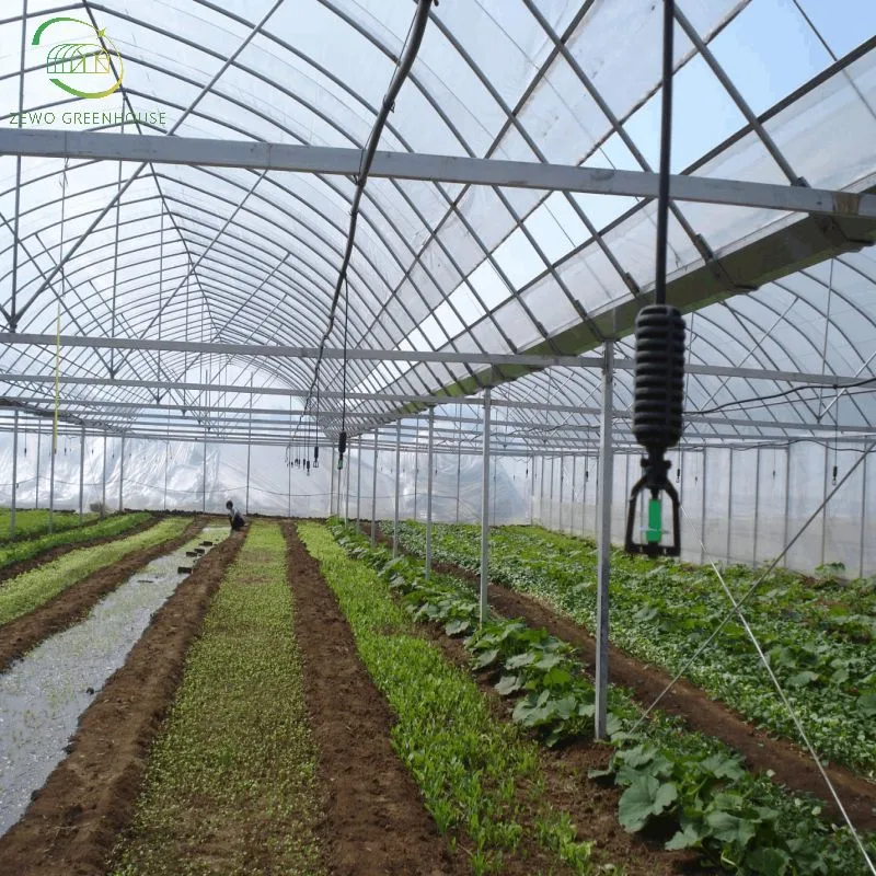 High quality/High cost performance  Low Cost Multi Span Plastic Film Greenhouse with Garden Water Sprayer with Pump