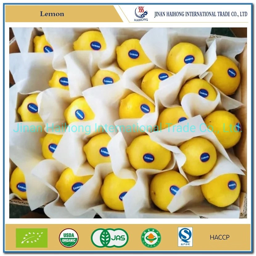 Hot Sale New Crop Fresh Lemon Organic Fresh Lemon From China with Cheap Price