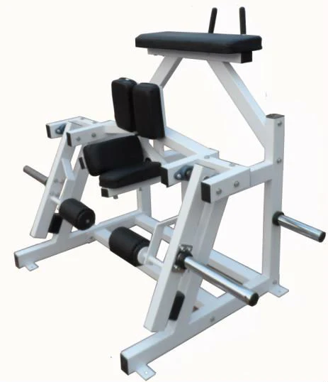 ISO-Lateral Kneeling Leg Curl, Fitness Gym Club Equipment