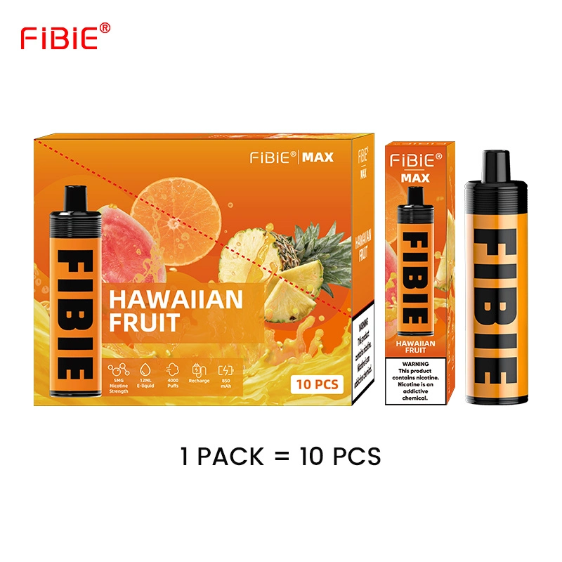 Shisha Flavor Hookah Fibie Dtl Disposable/Chargeable Electronic Cigarette Rechargeable Vape Pen 4000 Puffs Lung Smoking E Cigarette