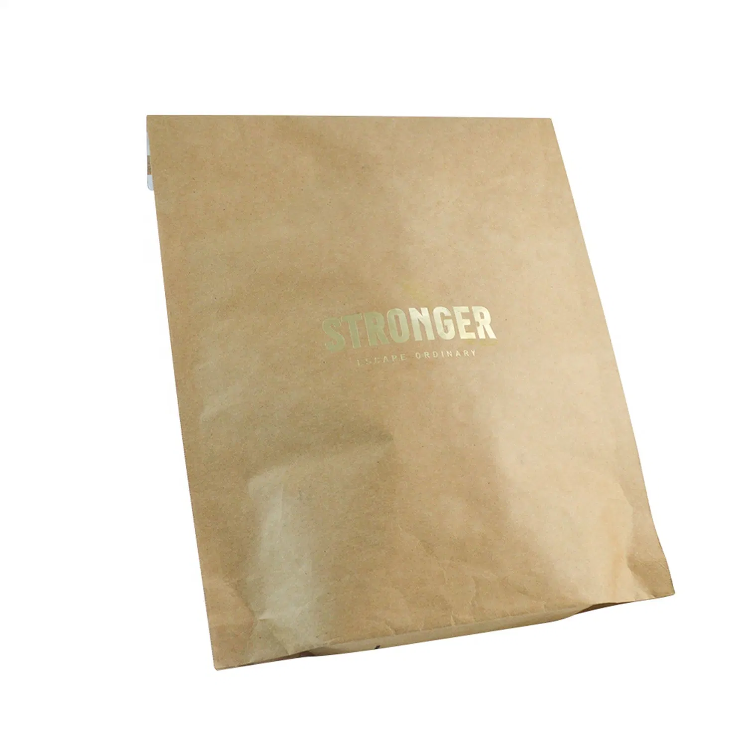 Custom Print Compostable Brown Envelopes Bubble Express Mailer Bags Kraft Paper Gift Packaging Packing Bag