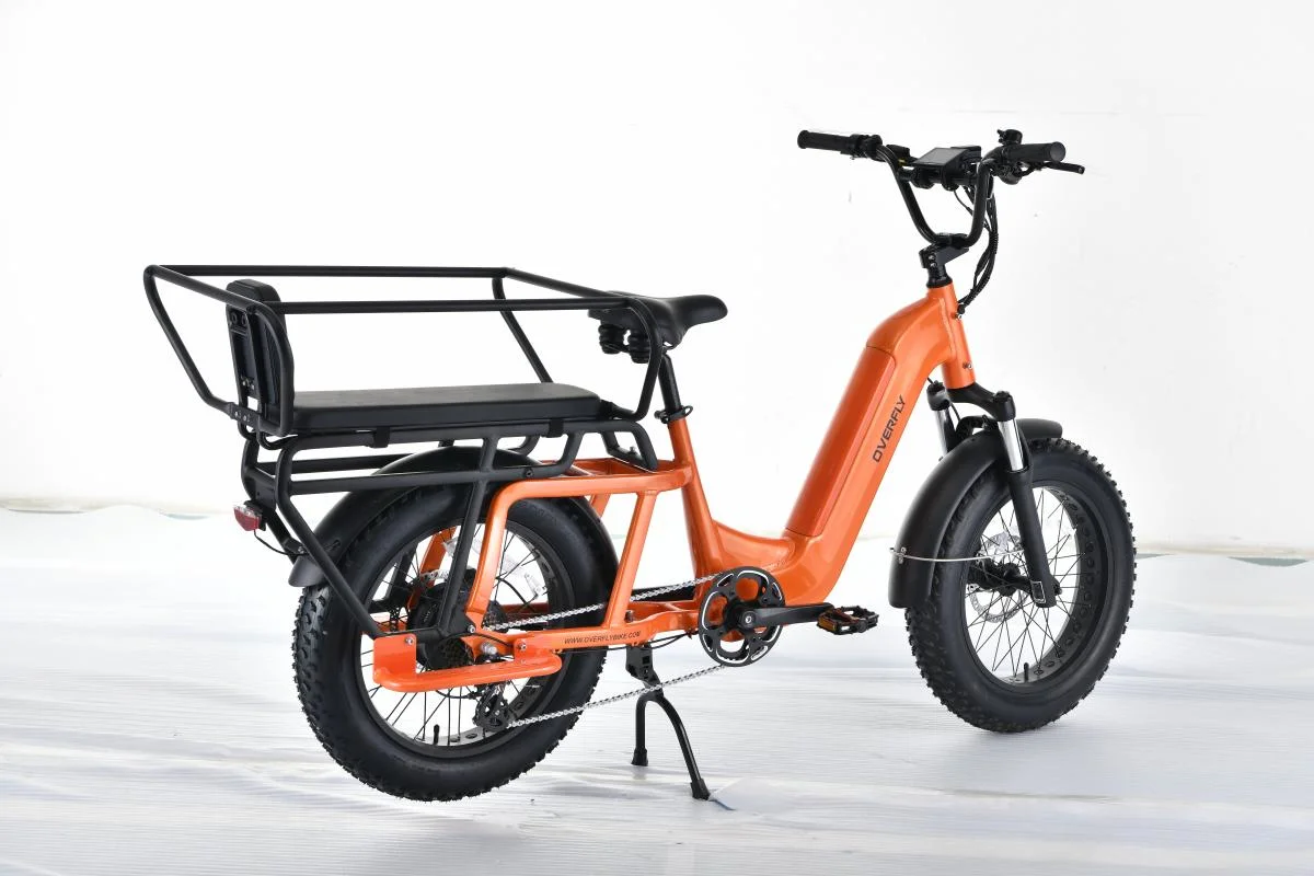 Motor de accionamiento trasero aluminio bastidor de aleación eBike con neumático de grasa