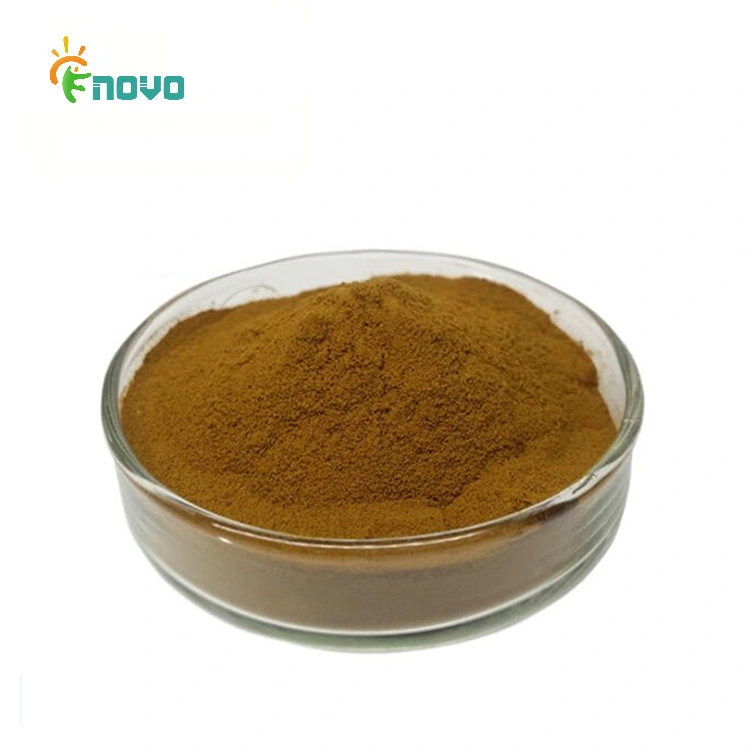 Factory Supply Weight Loss Organic Senna Leaf Extract Powder for Senna Tea