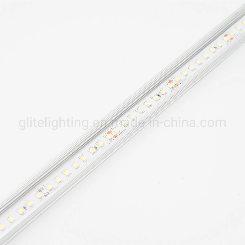 Factory Price LED Rope Light SMD2835 128LEDs 6000K DC24V IP20 for Indoor