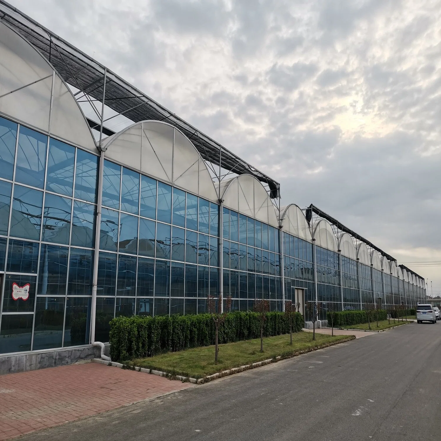 Niedriger Preis Landwirtschaftlicher Garten Bauernhof Glas Gewächshaus Hydroponics System