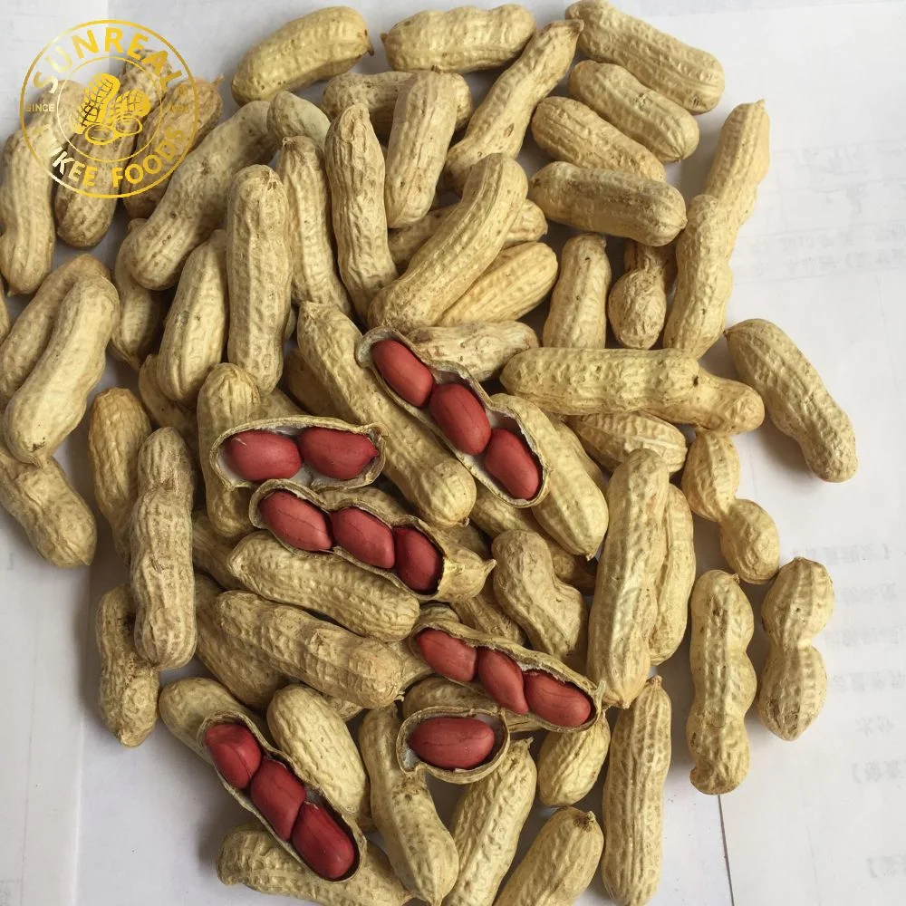 China Raw Red Skin Peanut in Shell/Superior Quality/ Vacuum Inner Bags